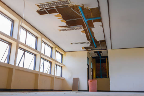Best Local water damage restoration  in Cascades, VA