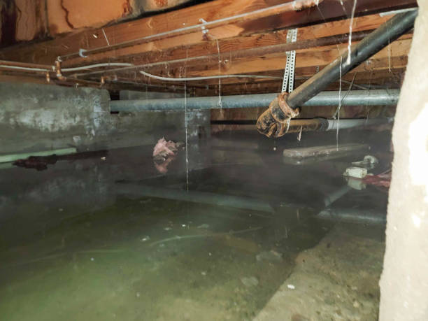 Best Professional water damage repair  in Cascades, VA