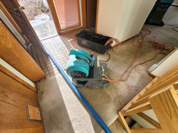 Best 24/7 water damage repair  in Cascades, VA